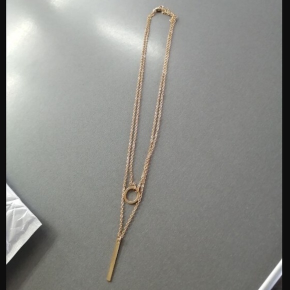 Gold Circle Bar Tassel Pendant Layered Necklace - Picture 5 of 6